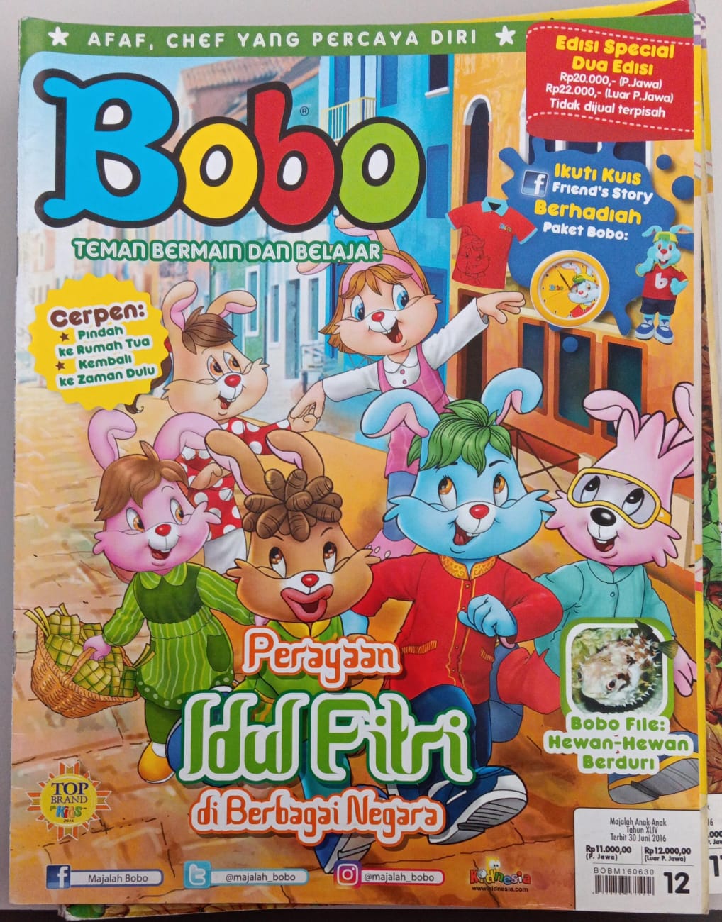 Bobo 12 - 2016 ; Teman Bermain dan Belajar