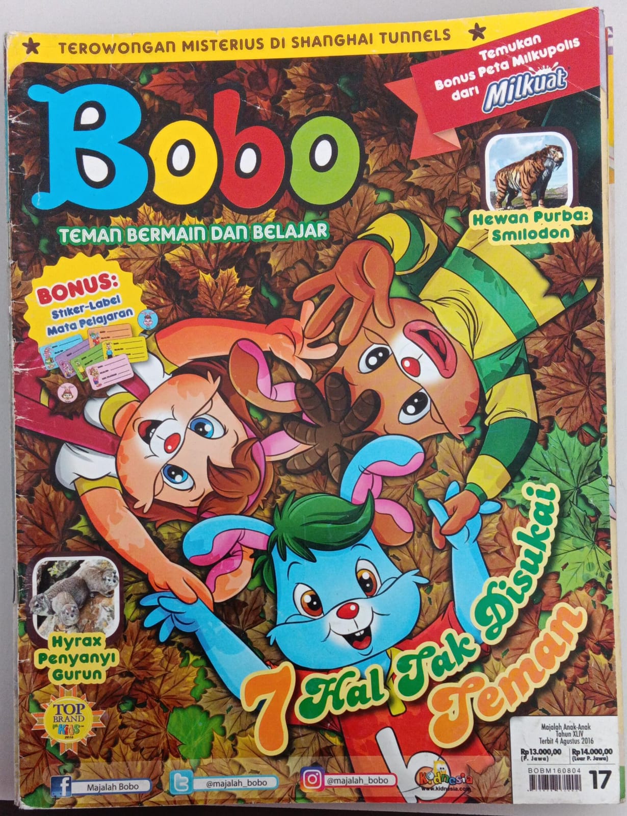 Bobo 17 - 2016 ; Teman Bermain dan Belajar