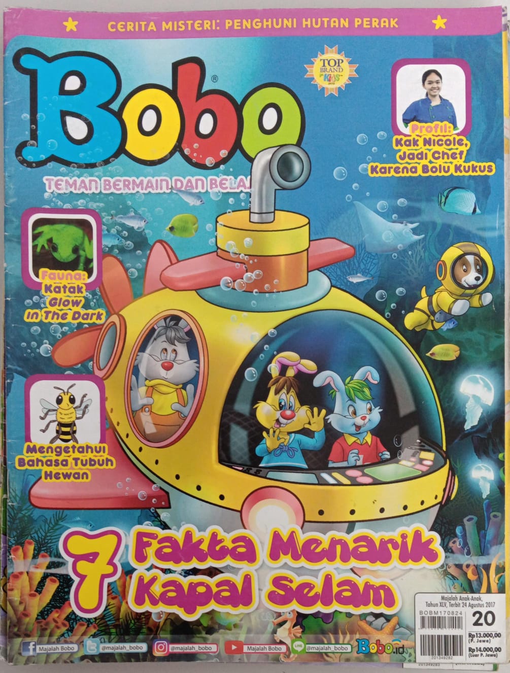 Bobo 20 - 2017 ; Teman Bermain dan Belajar