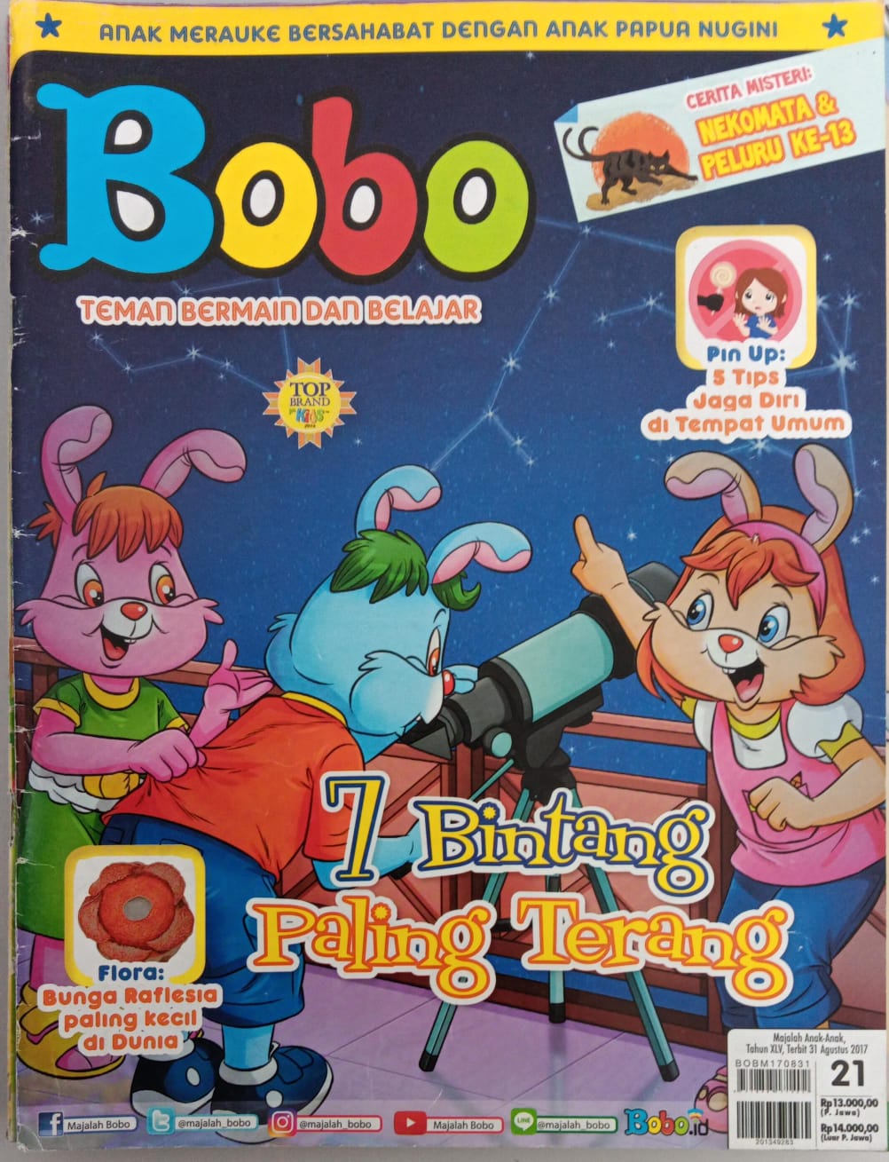 Bobo 21 - 2017 ; Teman Bermain dan Belajar