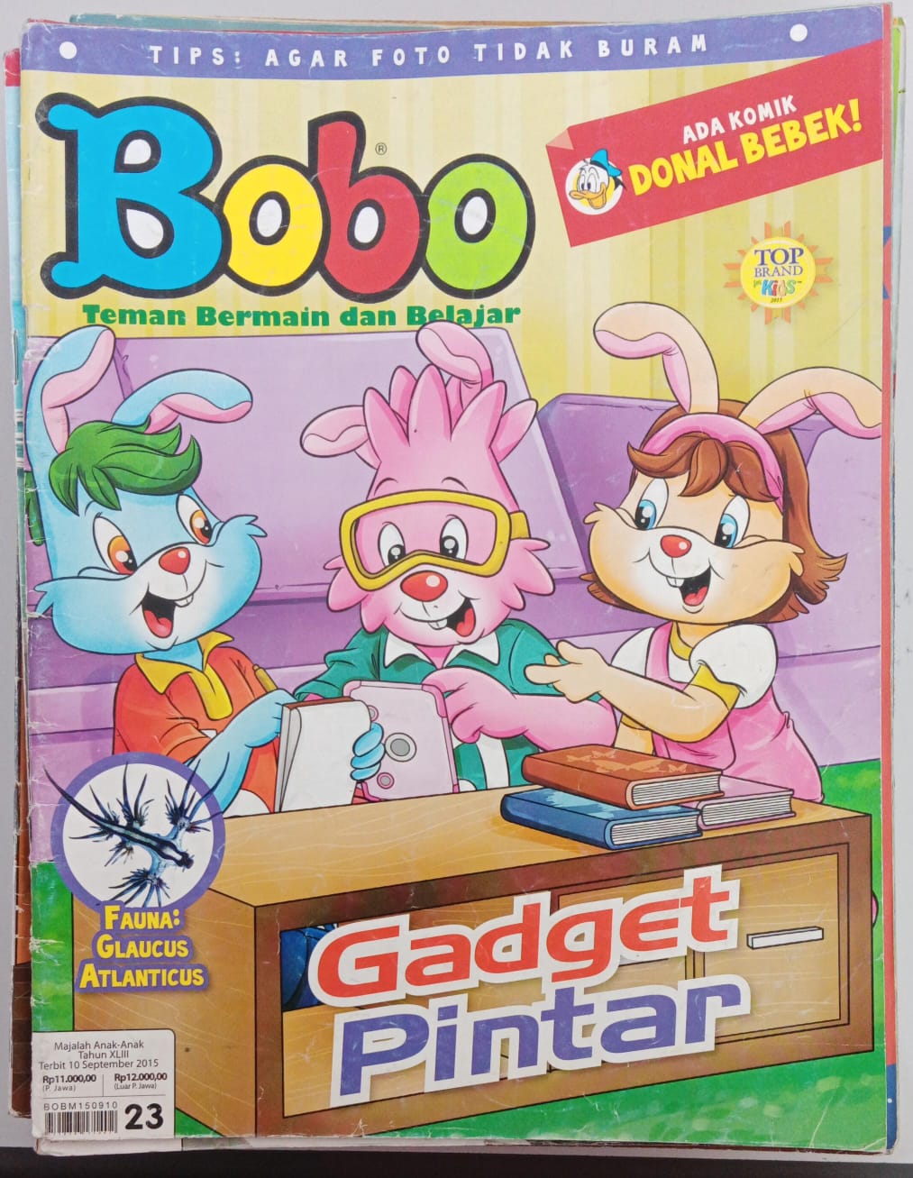 Bobo 23 - 2015 ; Teman Bermain dan Belaajr