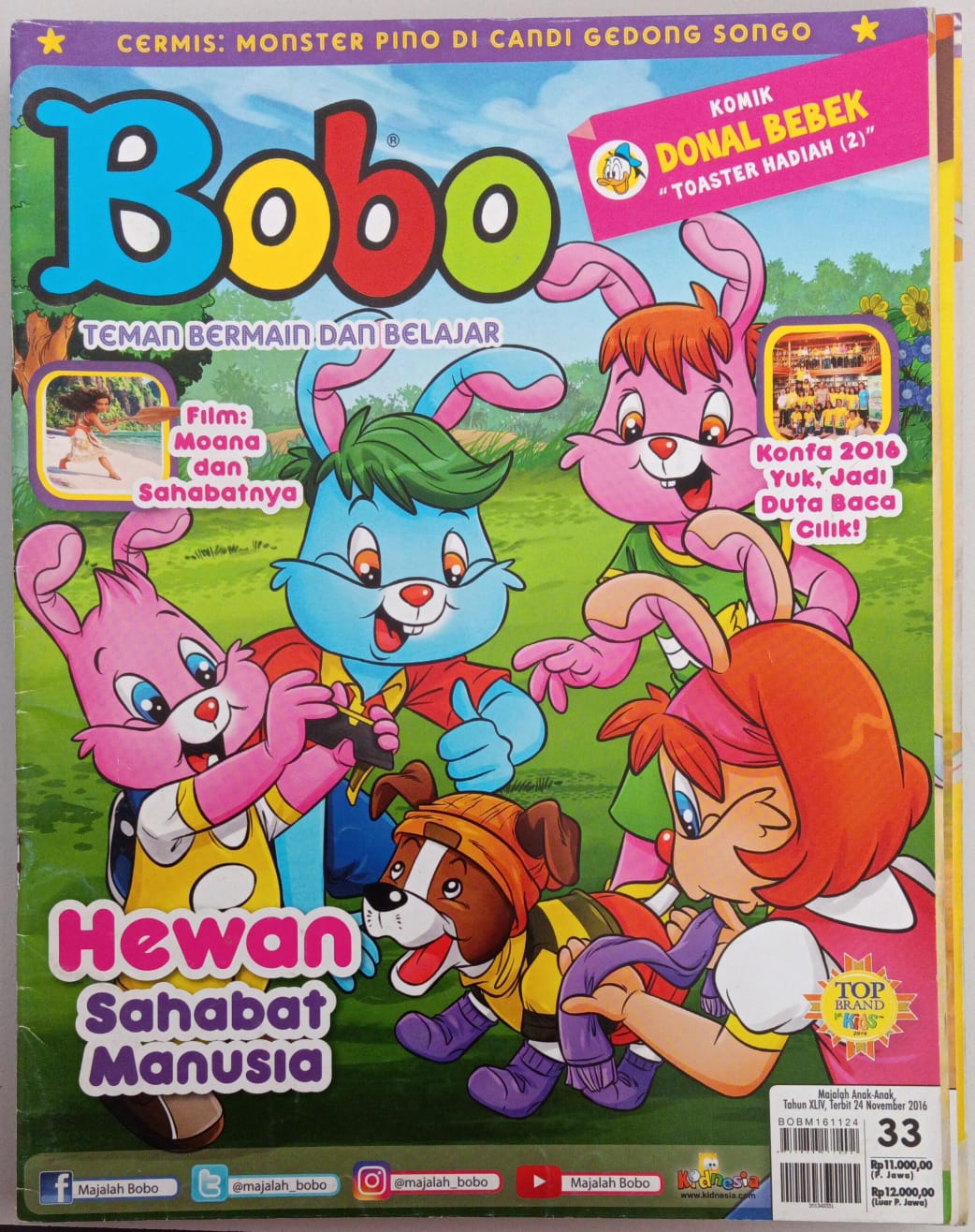 Bobo 33 - 2016 ; Teman Bermain dan Belajar