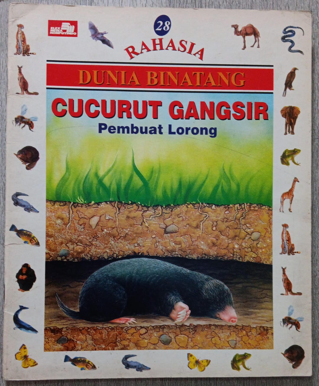 CUCURUT GANGSIR Pembuat Lorong - Vol. 28 ; Rahasia Dunia Binatang