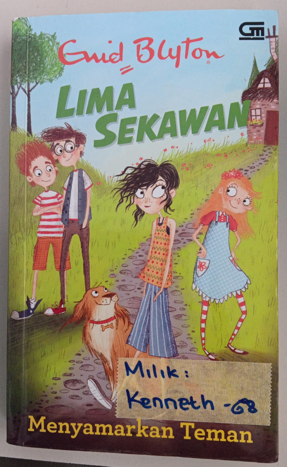 Lima Sekawan ; Menyamarkan Teman