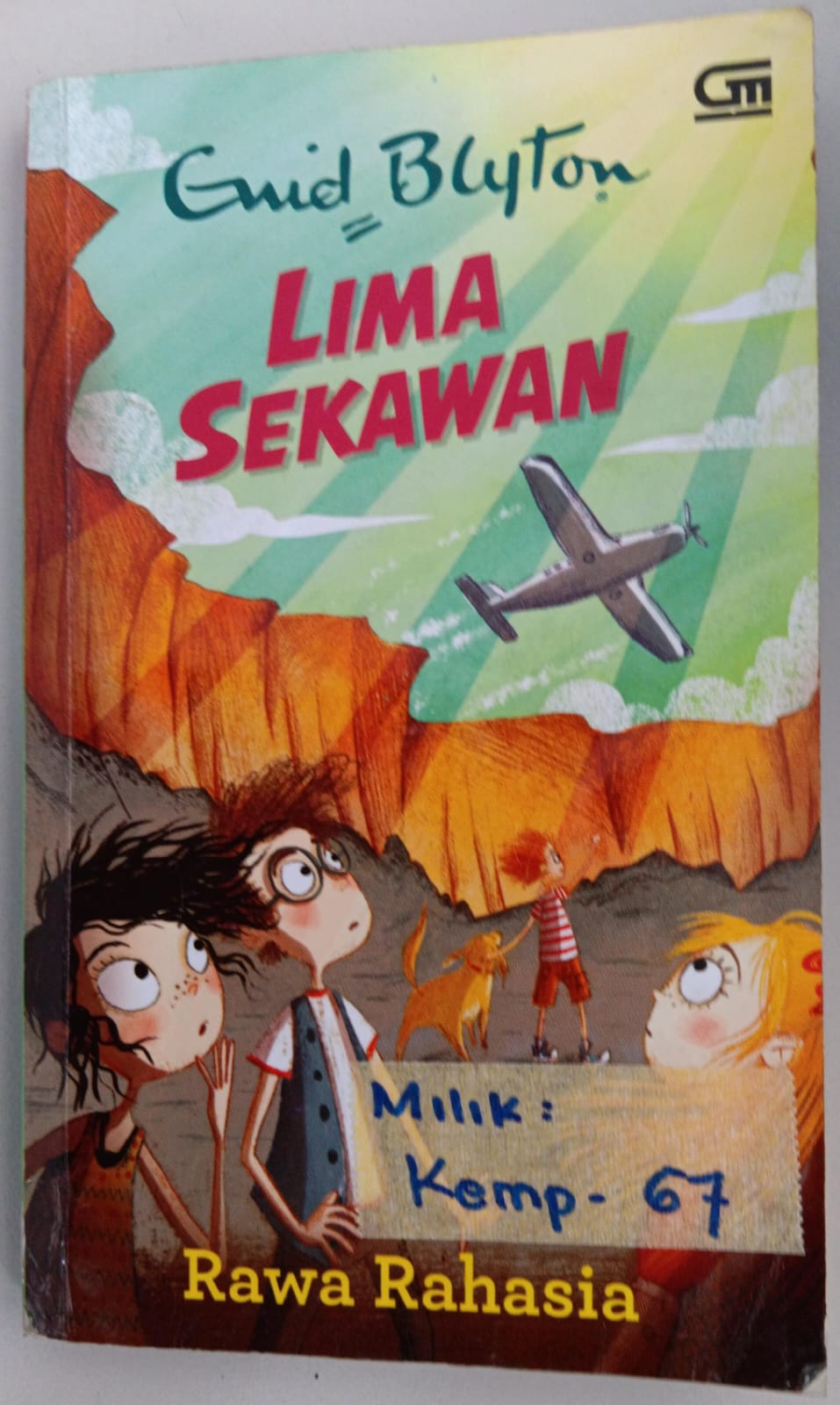 Lima Sekawan ; Rawa Rahasia