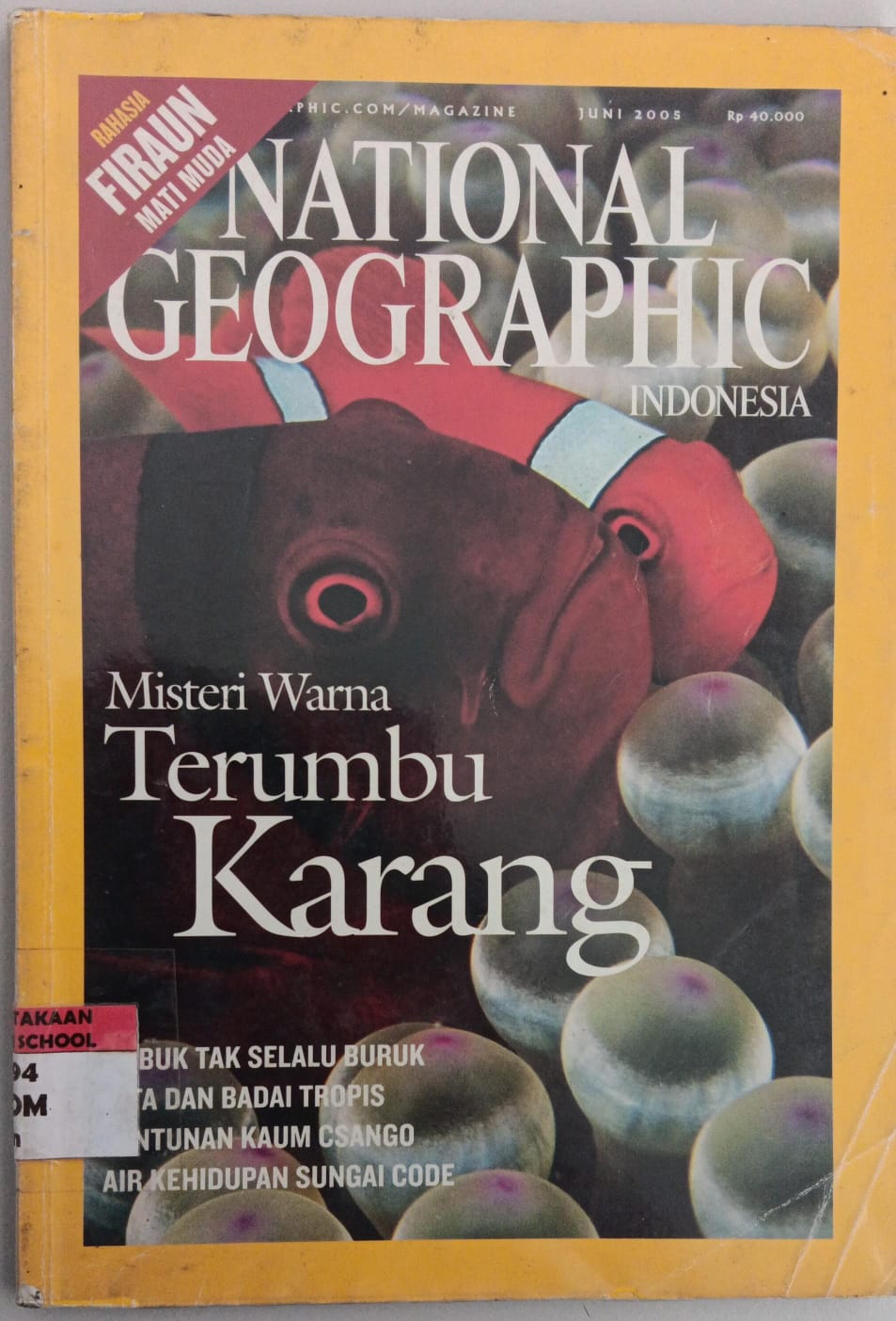 National Geographic Indonesia ; Juni 2005