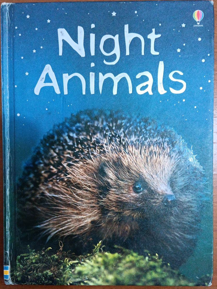 Night Animals