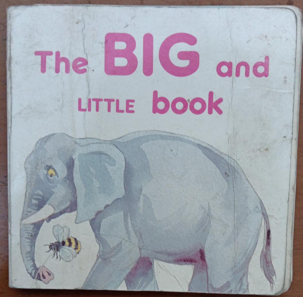 The BIG and Little book