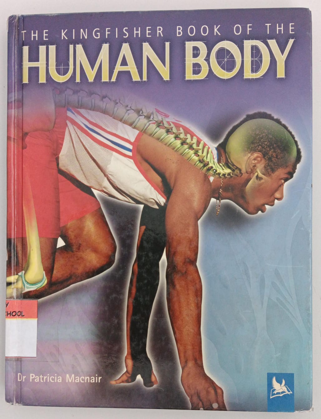 The Kingfisher Book of the Human Body