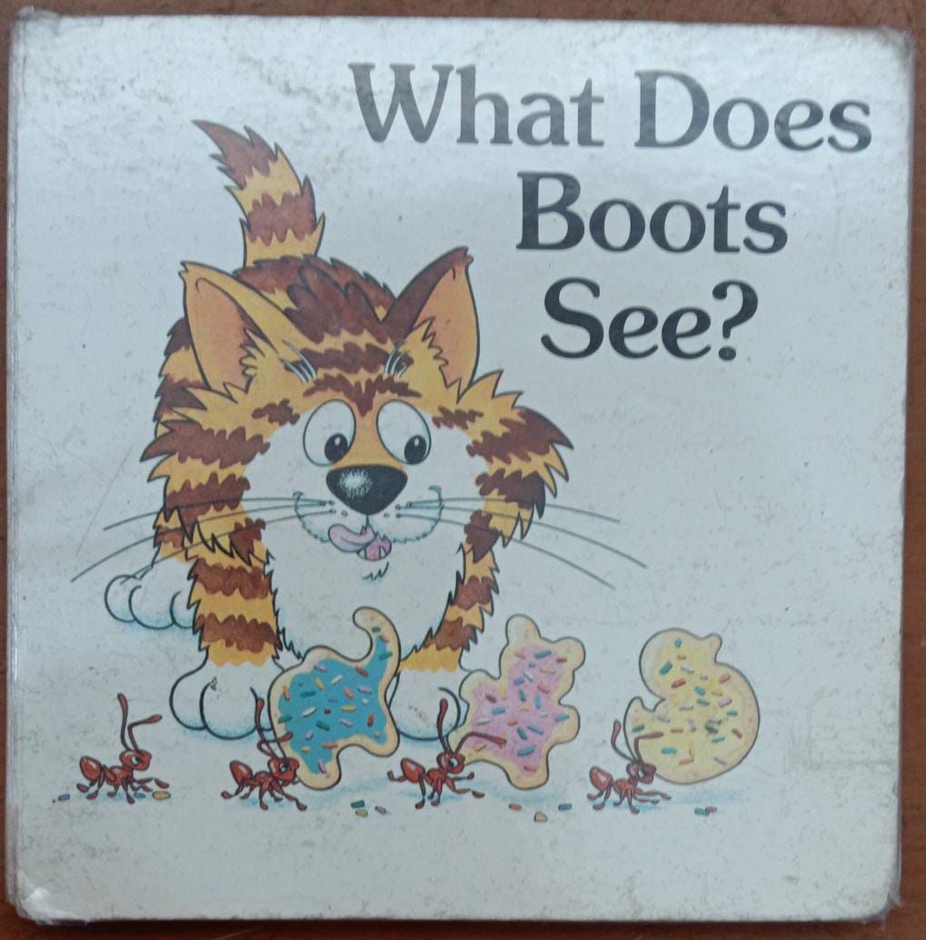 What Does Boots See?