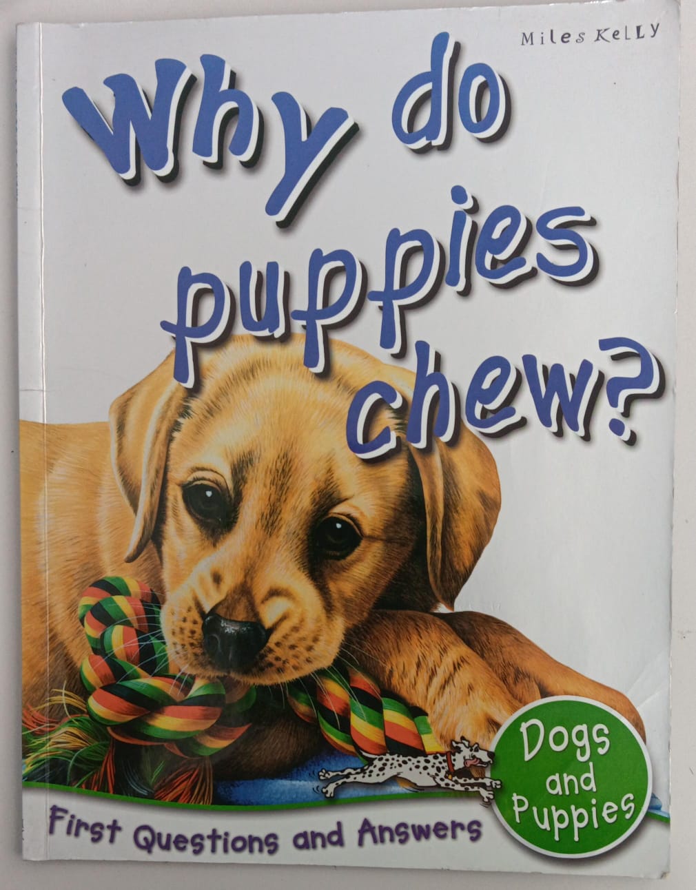 Why do puppies chew?