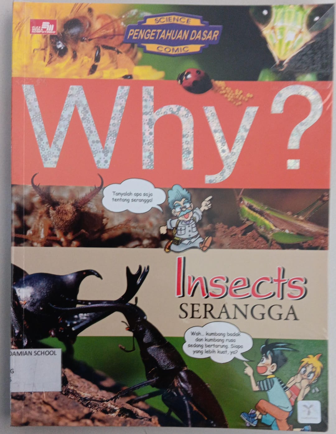 Why? Insects ( Serangga )