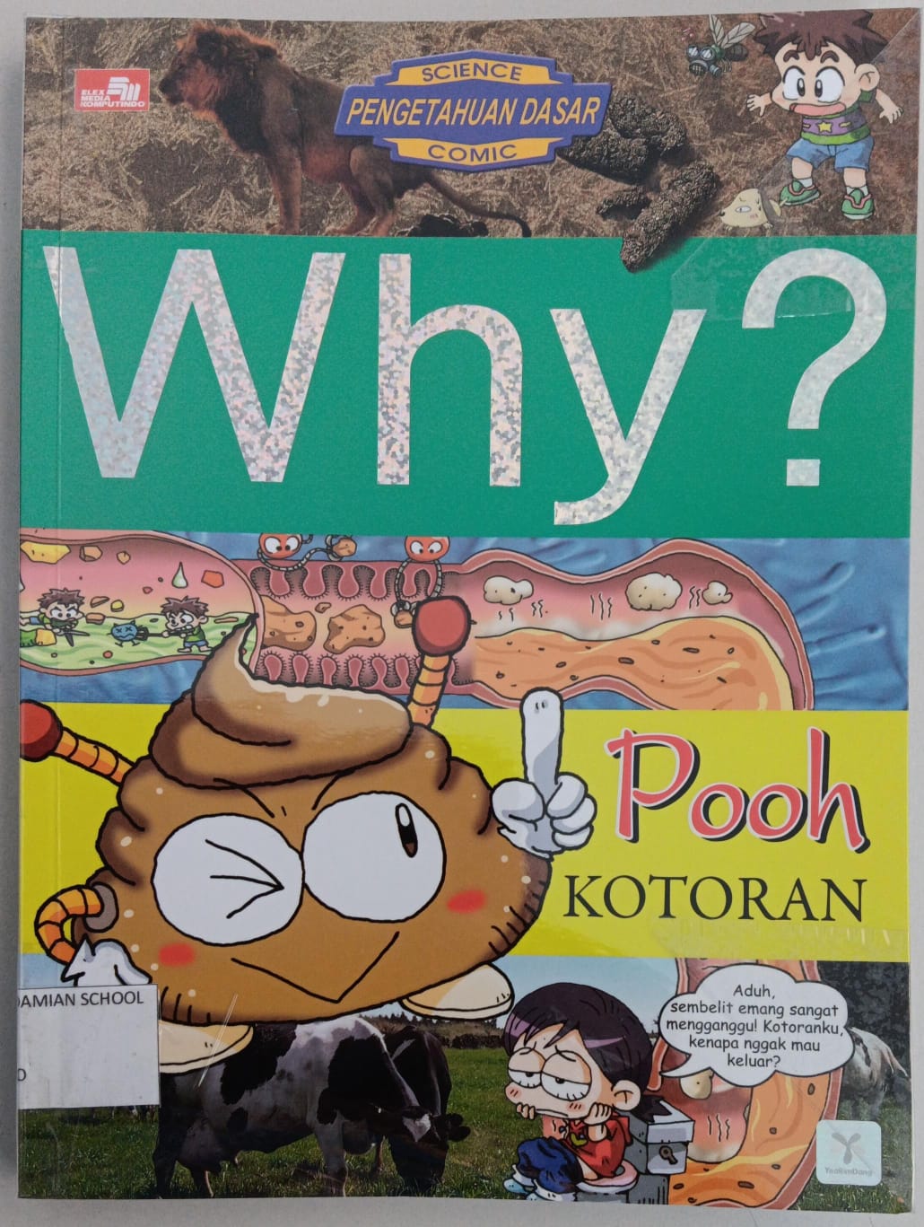 WHY? Pooh ( Kotoran )